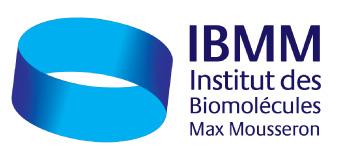 Institute of Biomolecules Max Mousseron logo