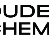 Dude Chem logo black text on a blank background