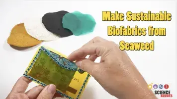 Various fabrics made from seaweed with two hands putting a card in a wallet. Title: Make Sustainable Biofabrics from Seaweed