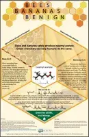 image of the poster