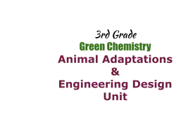 A slide that reads 3rd Grade Green Chemistry: Animal Adaptations &Engineering Design