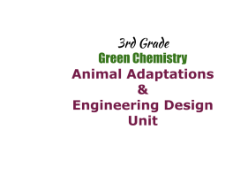3rd Grade Green Chemistry: Animal Adaptations &Engineering Design logo