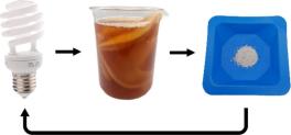 fluorescent lightbulb with an arrow to a glass of kombucha with an arrow to a weighboat with white powder with an arrow back to the fluorescent bulb