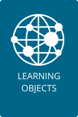 Learning Objets