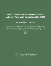 cover image for New York Master Teacher book - green page with white text