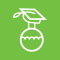 Higher Education